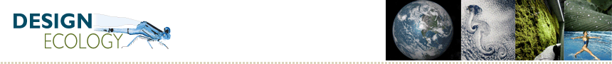 Design Ecology